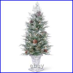 4' Feel Real Frosted Mountain Spruce Entrance Tree with Cones in Silver Brush