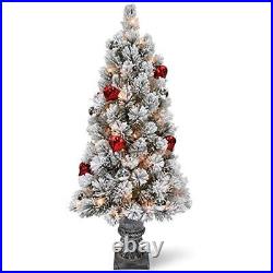 Ergode 4 ft. Snowy Bristle Pine Entrance Tree with Clear Lights