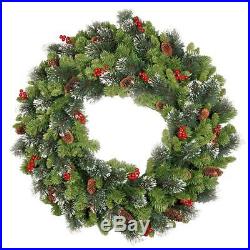 National Tree 24 Inch Crestwood Spruce Wreath with Silver Bristles, Cones